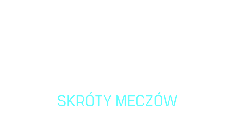 Skróty meczów 17. kolejki Ekstraklasy
