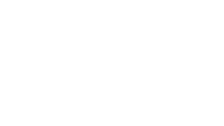 Obywatel Jones