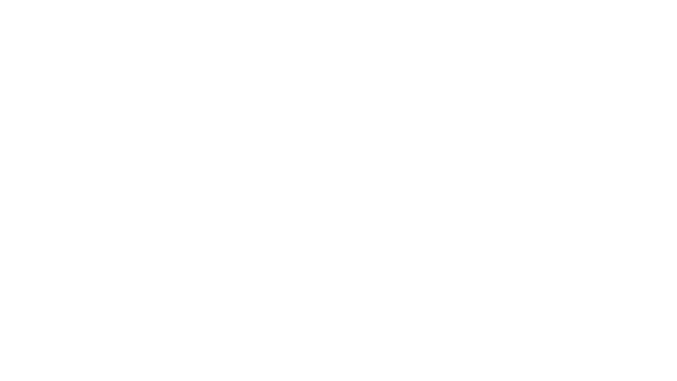 Steve Jobs