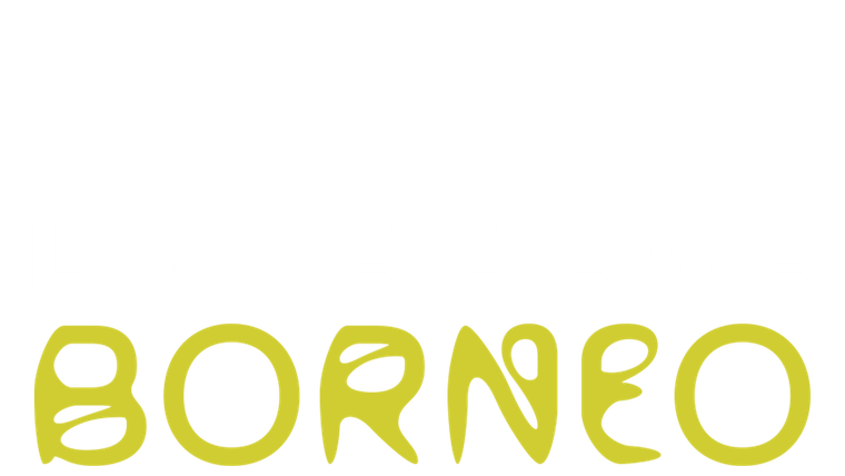 Lasy deszczowe Borneo