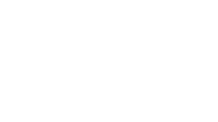 Narodziny dyktatury: Droga Hitlera do władzy