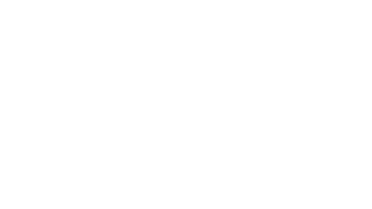 Plan 75