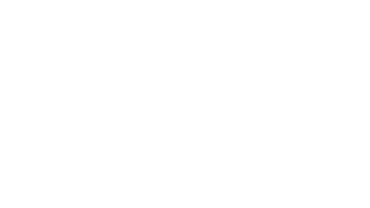 Sztuka kradzieży