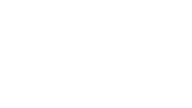 Problemista
