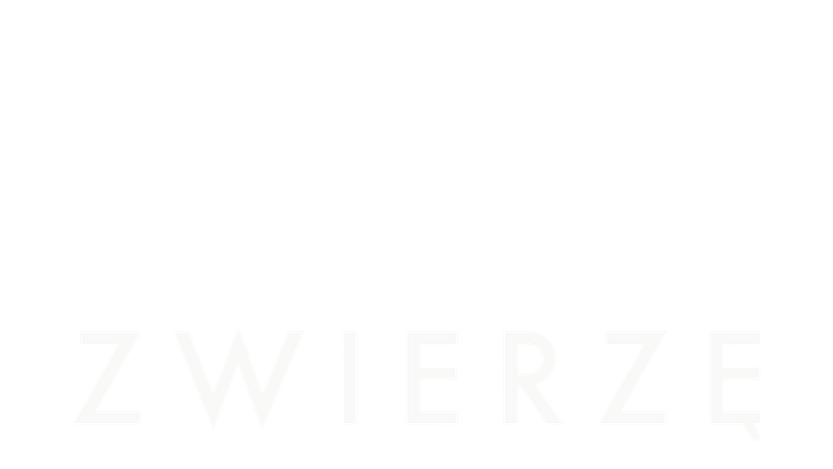 Zwierzę