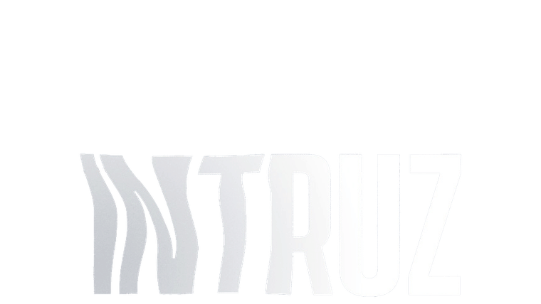 Intruz