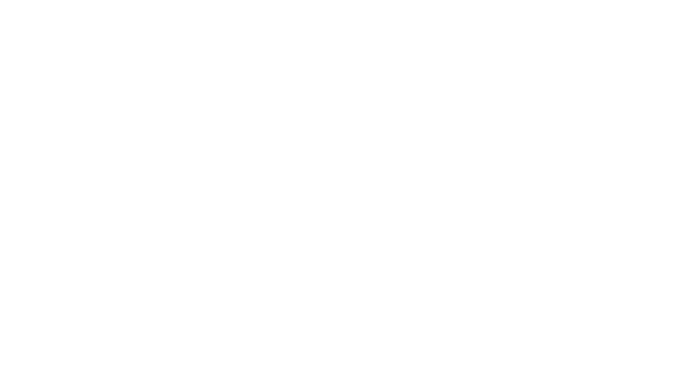 Holiday