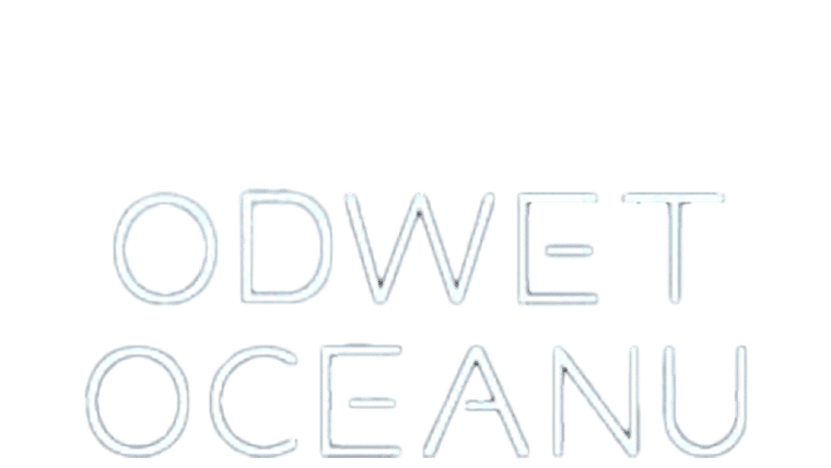 Odwet oceanu