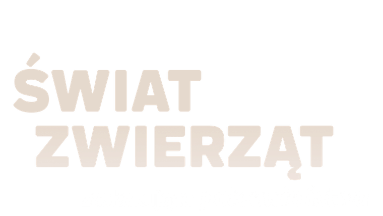 Świat zwierząt - zaskakujące pokrewieństwa