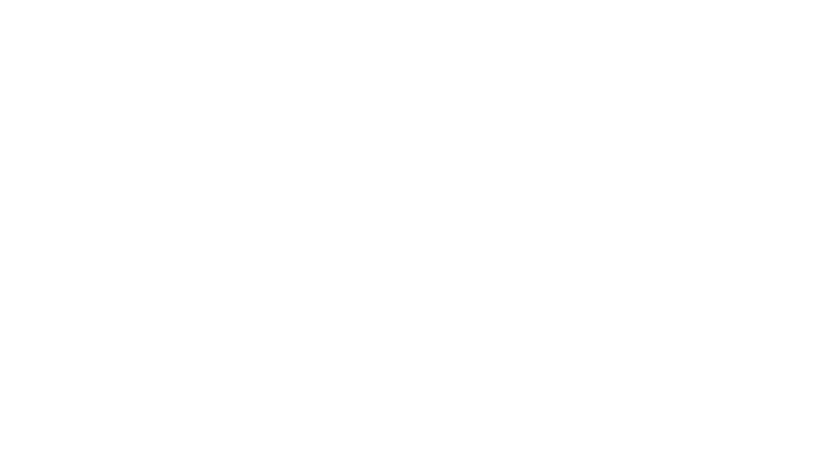 The Testament Of Ann Lee