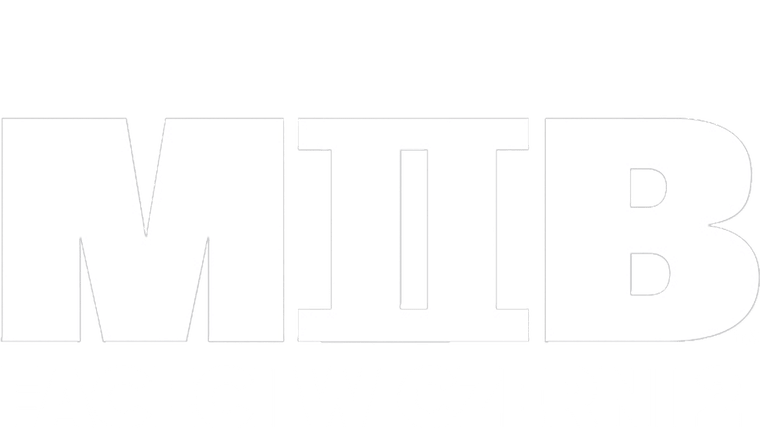 Faceci w czerni II