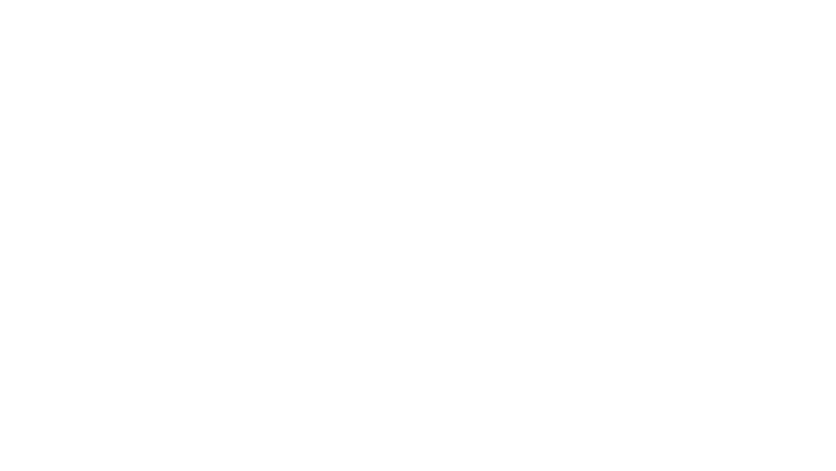 Van der Valk