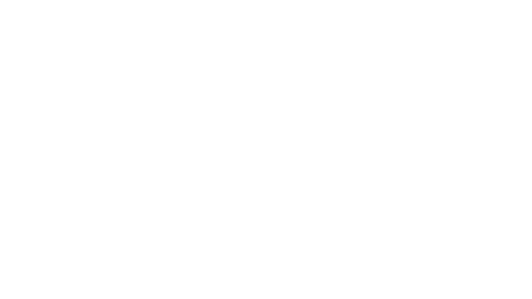 Rok wśród niedźwiedzi