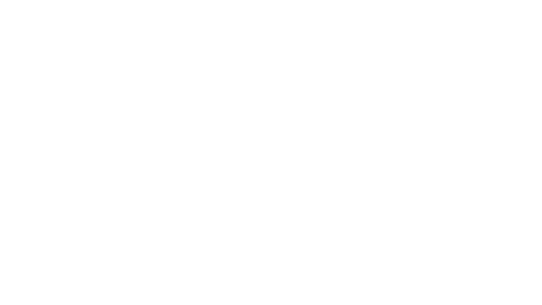 Paris Police 1905