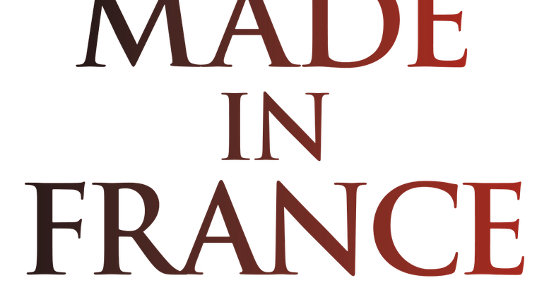 Made in France - Im Namen des Terrors