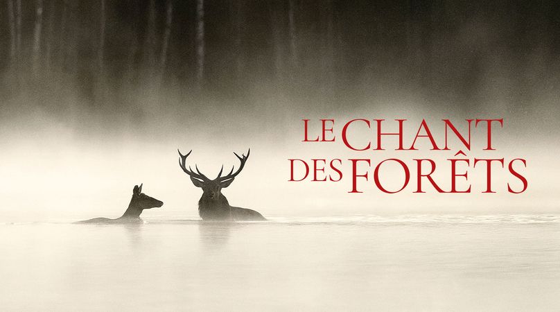 Le Chant des forêts