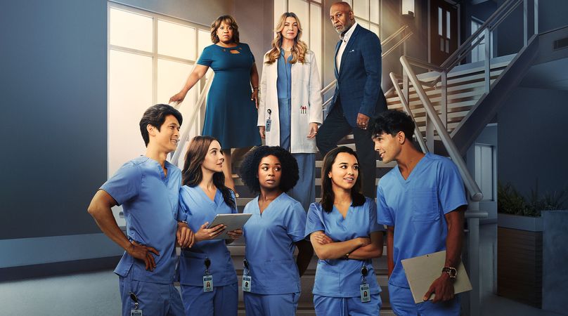 Grey's Anatomy - Saison 19