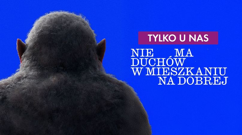 Nie ma duchów w mieszkaniu na Dobrej