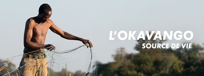 L'Okavango, source de vie