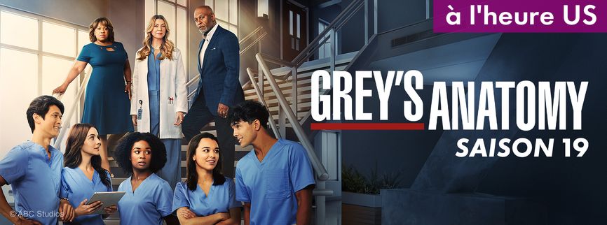 Grey's Anatomy - Saison 19