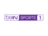 bein SPORTS